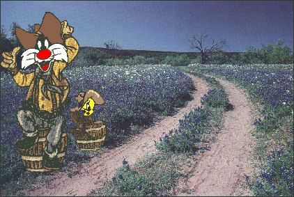 bluebonets along a dusty trail